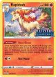 Rapidash (SWSH270) (Prerelease) (Staff) [Sword & Shield: Black Star Promos] Online Sale